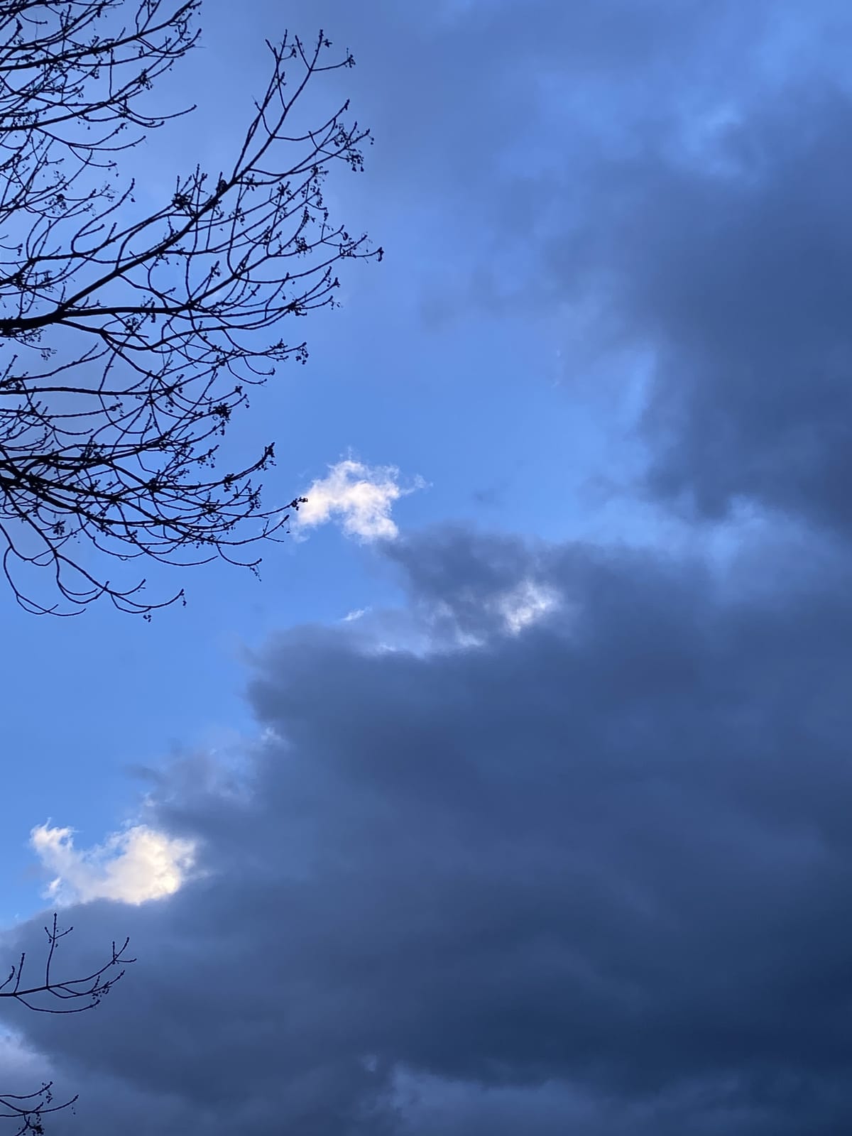 Idealisation vs. Practice