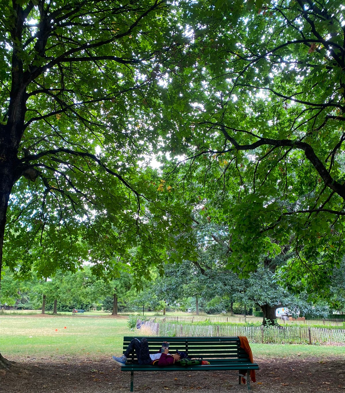 A Letter to the Quiet Ones (and Other Small Kindnesses)