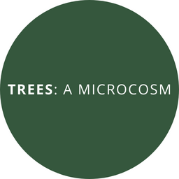 We Start Again, and Again, and Again...